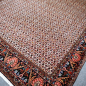 Preview: Bidjar Teppich Tekab 250 x 300 Perserteppich 307 x 254 cm 13980 sehr fein 250x300