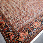 Preview: Bidjar Teppich Tekab 250 x 300 Perserteppich 307 x 254 cm 13980 sehr fein 250x300