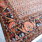 Preview: Bidjar Teppich Tekab 250 x 300 Perserteppich 307 x 254 cm 13980 sehr fein 250x300