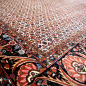 Preview: Bidjar Teppich Tekab 250 x 300 Perserteppich 307 x 254 cm 13980 sehr fein 250x300