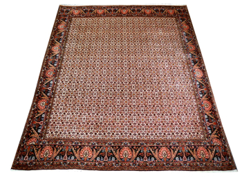Bidjar Teppich Tekab 250 x 300 Perserteppich 307 x 254 cm 13980 sehr fein 250x300