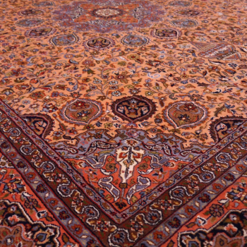 250x300 Orientteppich ca. 300 x 250 cm handgeknüpft für Wohnzimmer, Esszimmer oder Schlafzimmer. Hochwertiger Teppich aus Indien,   Merino Wolle aus Neuseeland. 14379