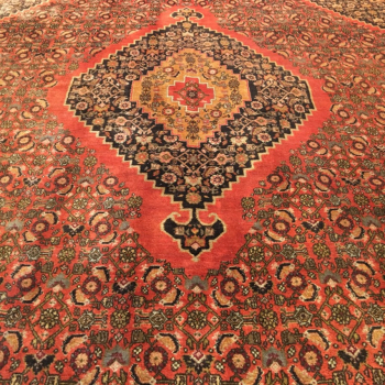 15070 Bidjar rug semi antique 11.0 x 8 ft / 330 x 230 cm vintage