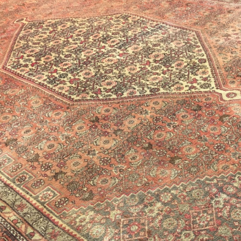 worn to perfection 15070 Bidjar rug worn to perfection semi antique 10.9 x 7.5 ft / 330 x 230 cm vintage