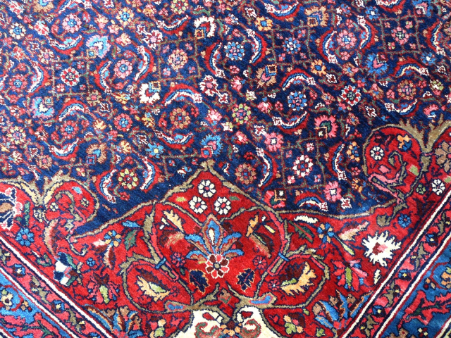 Antique Bidjar rug Halwai 17 x 10 oversized blue wool hand knotted