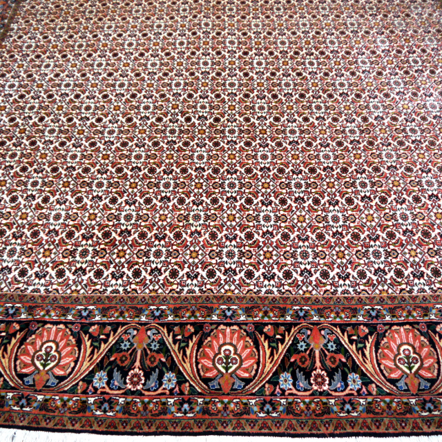 Bidjar Teppich Tekab 250 x 300 Perserteppich 307 x 254 cm 13980 sehr fein 250x300